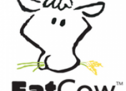 Review of FatCow Web Hosting Provider